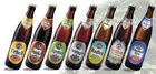Logo Freisinger Festbier