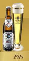 Logo Hb Traunstein Pils