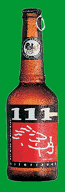 Logo 111 Zwickl