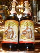 Logo Schloderer Dunkel