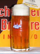 Logo Schwanen Zwickel