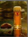 Logo Siegburger