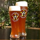 Logo Stern Weisse