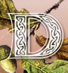 Logo Wäldches Druidenbräu